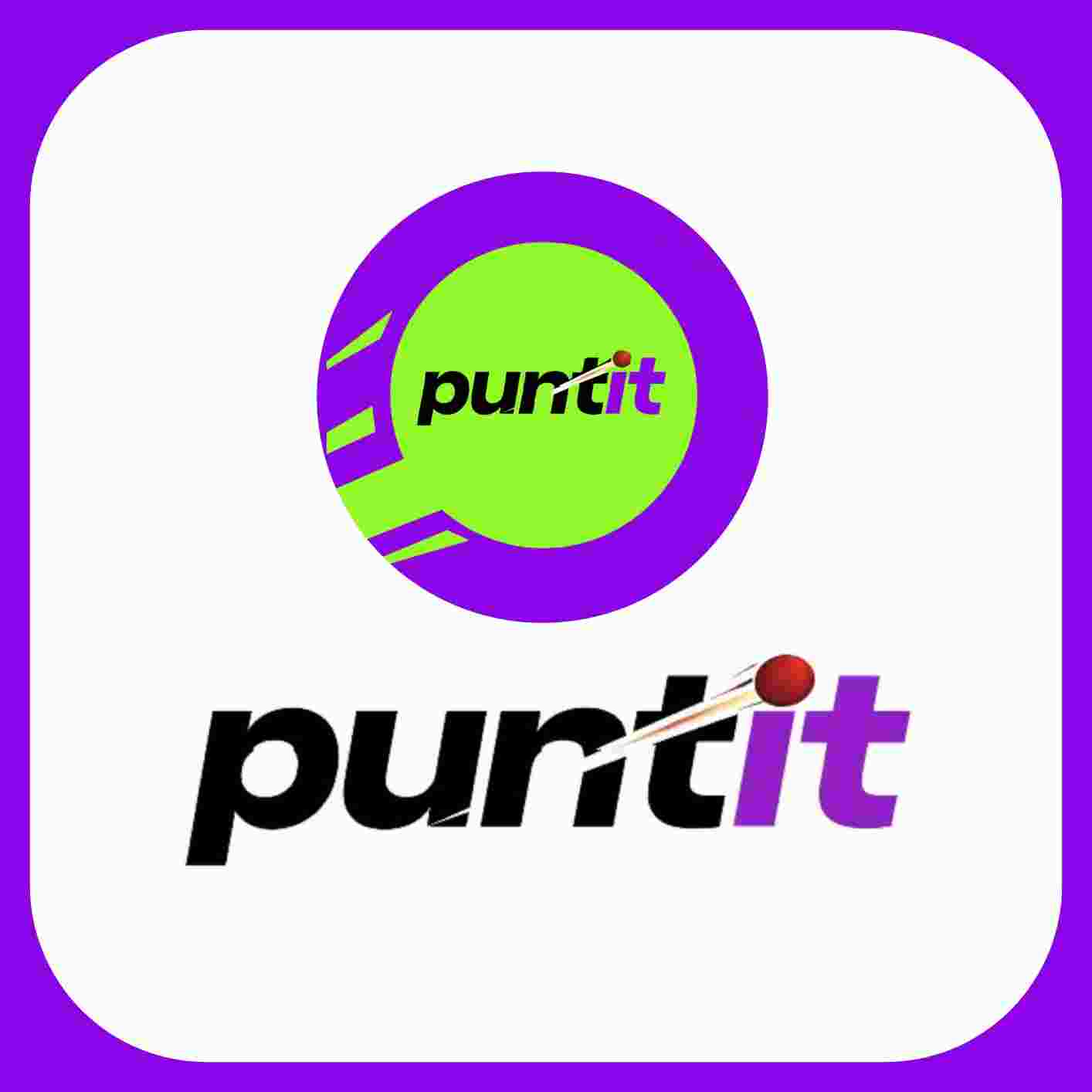 Puntit offical logo