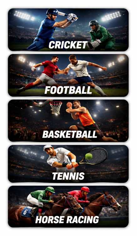 Multiple sports betting options available on Puntit