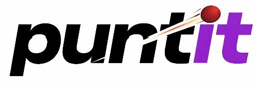 Puntit official logo